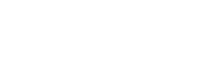 06 06